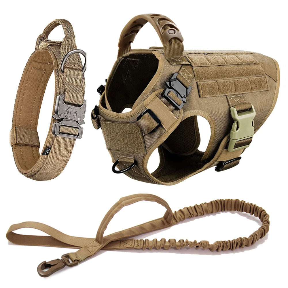 Large Dog Harness Collar Leash Set