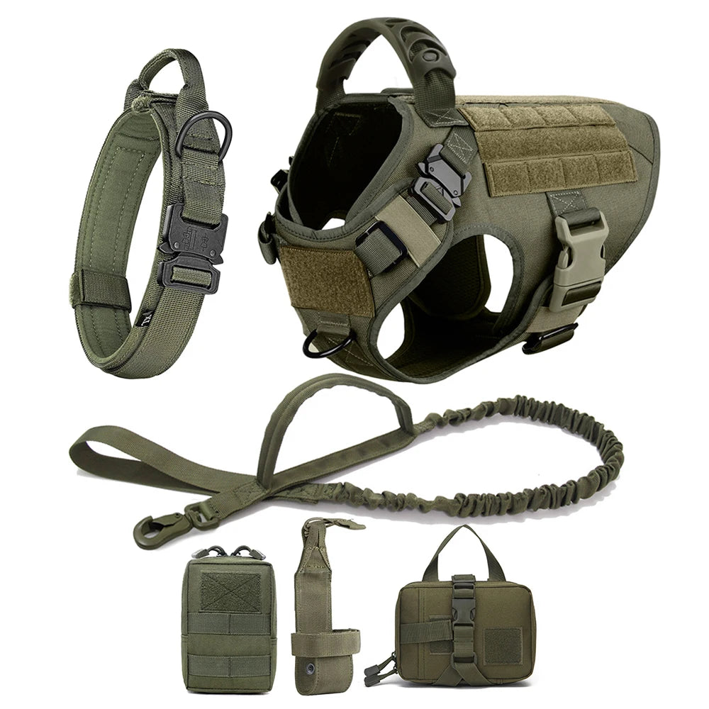 Dog Harness And Leash Set