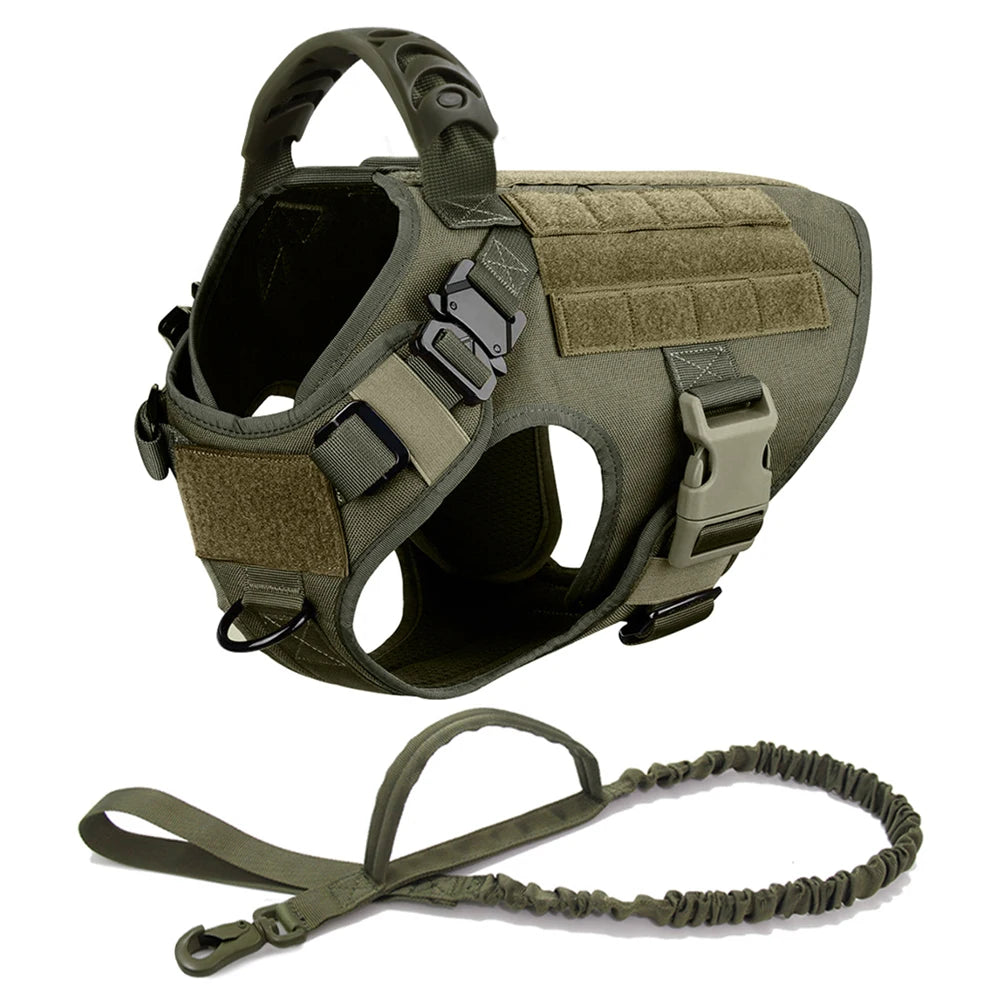 Dog Harness And Leash Set