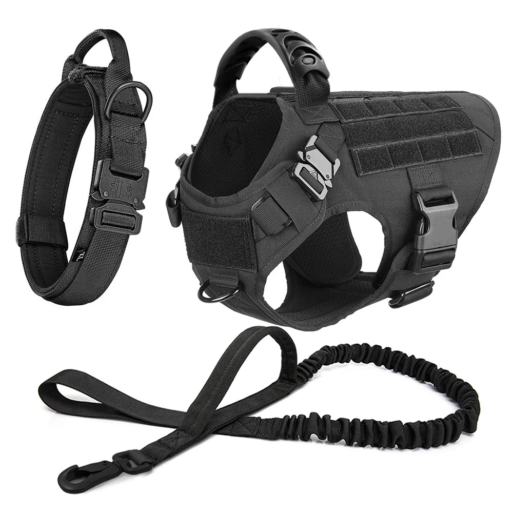Dog Harness And Leash Set