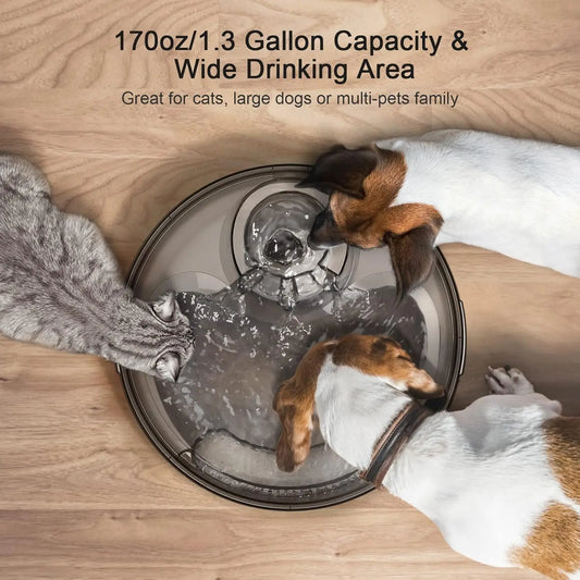 Multi-pet Automatic Water Fountain