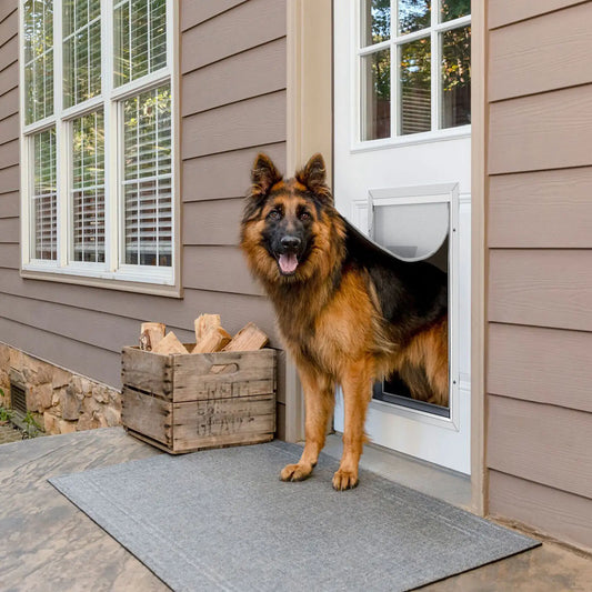 Metal Frame Pet Door