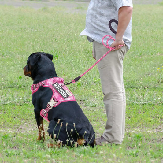 Heavy Duty Tactical Harness for Large Pets