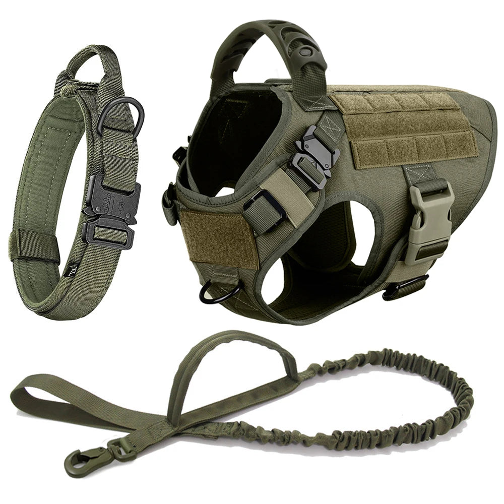 Dog Harness And Leash Set