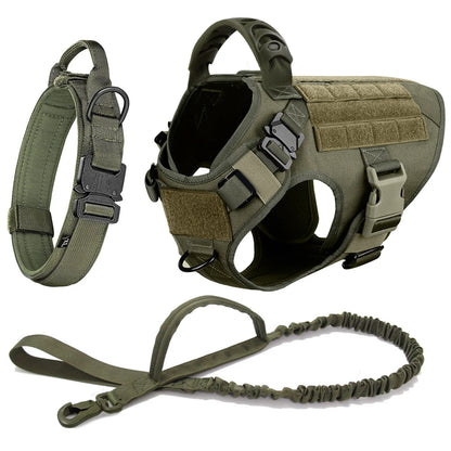 Dog Harness And Leash Set